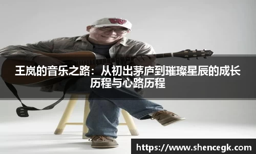 王岚的音乐之路：从初出茅庐到璀璨星辰的成长历程与心路历程